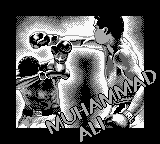 Boxing screenshot 4 for GameBoy